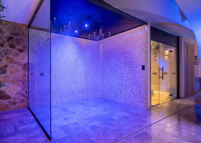 Hotel de playa: Hotel Ght Neptuno-Tossa & Venus Spa